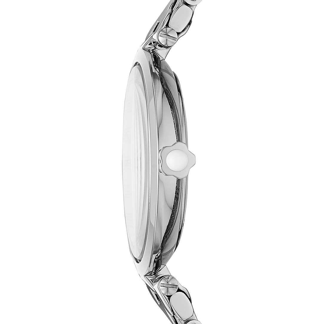 Emporio Armani AR11195 Women's Watch - Watch Home™ Emporio Armani AR11195 Women's Watch - Watch Home™